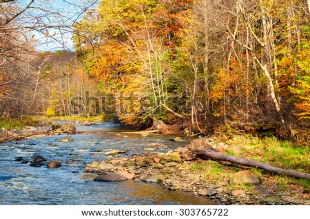 A creek meanders through colorful woods in late autumn