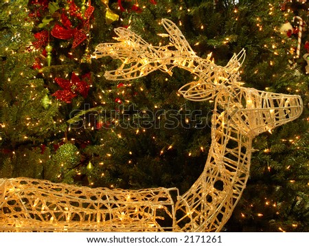 Christmas yard ornament: lit reindeer with tiny bit of motion blur on neck