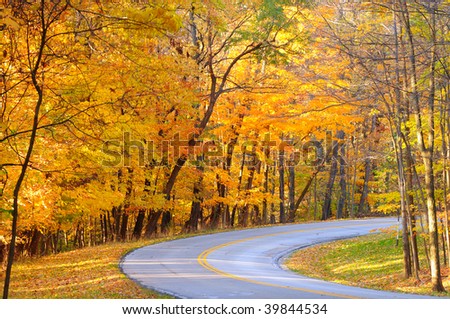 Brilliant autumn colors along the curve of a park road