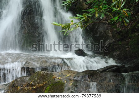 Portion of Laurel Falls in Great Smoky Mountains National Park with rhododendron leaves