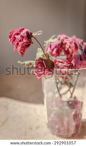 dried rose flower with dried leafs, Withered rose in a vase, Vintage Style