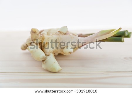 young ginger, young ginger root with shoots, ginger with shoots