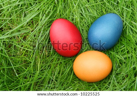 Easter eggs hidden in the grass
