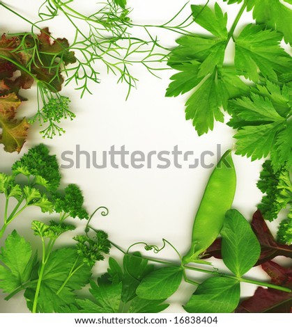Border of fresh herbs, including dill, peas, basil, thyme, sage, parsley and oregano.
