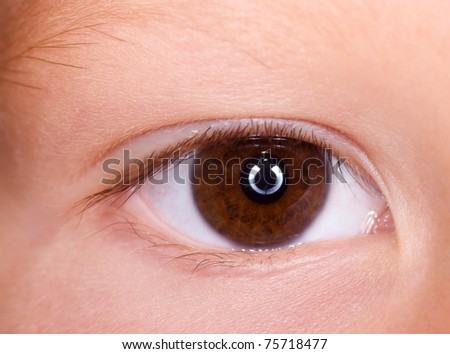 close-up of beautiful curious wide open child\'s brown eye