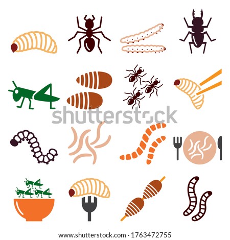 Edible worms and insects vector icons set - alternative source on protein in food. Food and nature color icons set - maggots, bugs isolated on white 