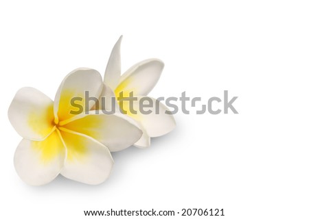 Similar – Image, Stock Photo odor Flower Garden Blossom