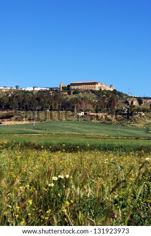 Farmland on the edge of town, Carmona, Seville Province, Andalusia, Spain, Western Europe.