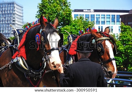 LIVERPOOL, UNITED KINGDOM - JUNE 11, 2015 - Shire horses and handlers promoting Liverpool International Horse Show by Kings Dock, Liverpool, Merseyside, England, UK, Western Europe, June 11, 2015.