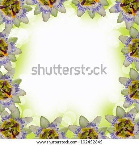 Frame of flowers on a background