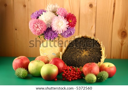 Asters in a vase, a guelder-rose, apples and a sunflower.