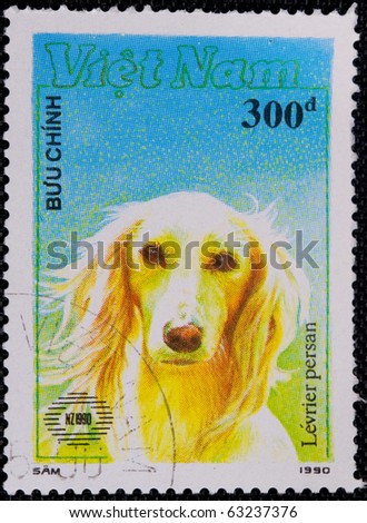 VIETNAM - CIRCA 1990: A stamp printed by Cuba shows the Dog Persian greyhound, stamp is from the series, circa 1990