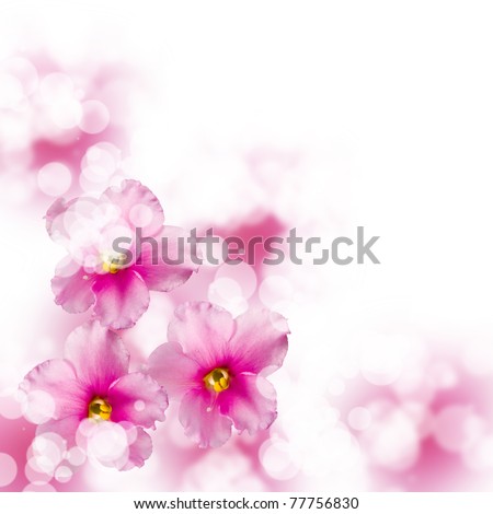 Beautiful  flowers on a blue and white background