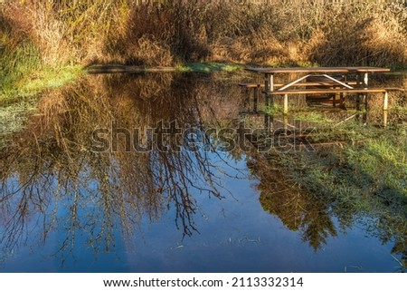 Similar – Image, Stock Photo Downpour at the campsite, seen from the tent.