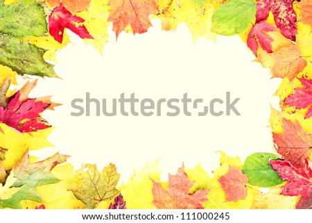Leaves fall frame in retro style. Real leaves forming a frame. Retro vintage style photo.