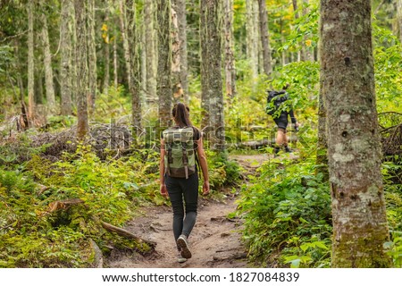 Hike trail hiker woman walking in autumn fall nature woods during fall season. Hiking active people tourists wearing backpacks outdoors trekking in pine forest.