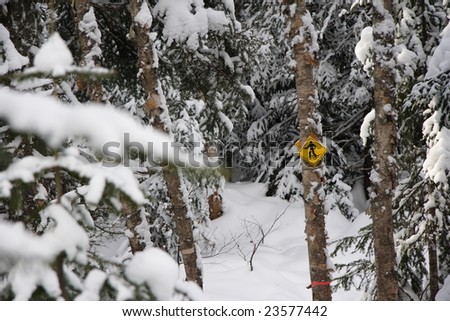 snowshoeing path and sign in snow covered pine forest near Baie Saint-Paul, Quebec, Canada