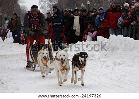 QUEBEC CITY, CANADA - JANUARY 31. Quebec Carnival:  Provincial Dog Sled Racing Championship on January 31, 2009