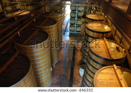Oak casks in California winery