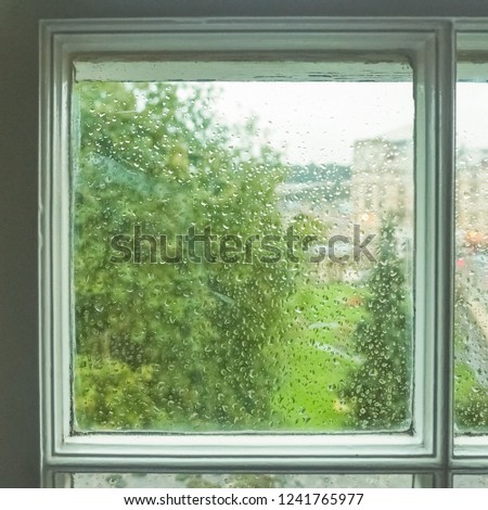 Wet Window