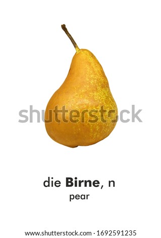 Shutterstock Puzzlepix
