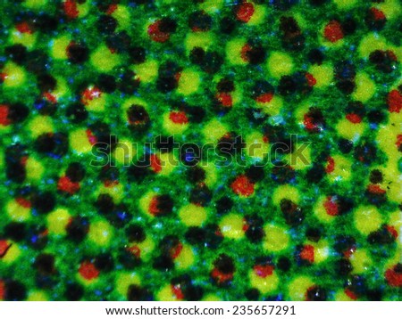 Light photomicrograph of colour halftone print dots seen through a microscope, grainy