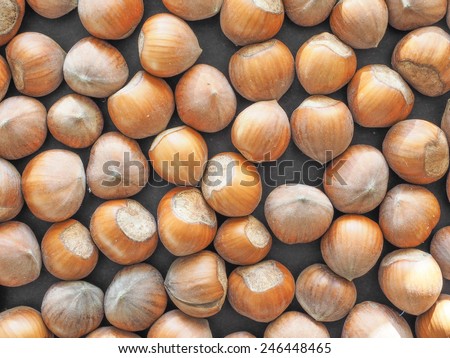 Hazelnut dried fruits aka cobnut or filbert nut useful as background