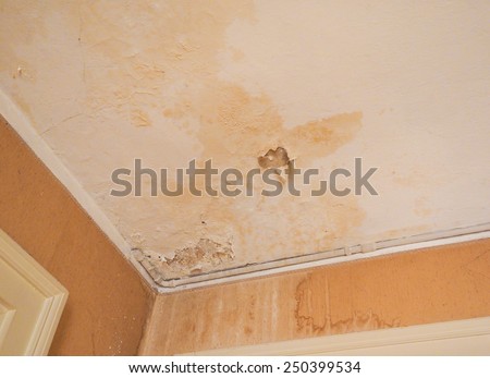 Damage caused by damp and moisture on a ceiling