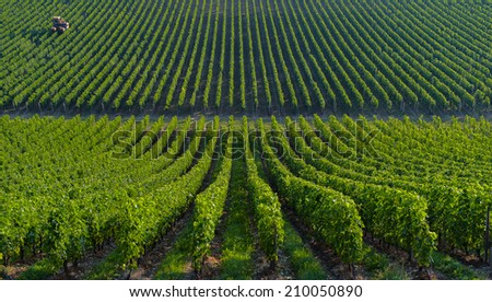 Agricultural machine in the vineyards-Landscape-Vineyard south west of France, Bordeaux Vineyard