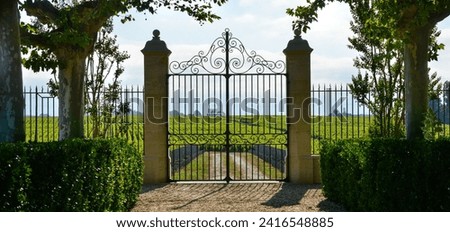 Similar – Image, Stock Photo Way to the vineyards with tree