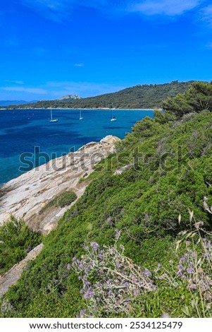 Similar – Image, Stock Photo Marseille / Mediterranean Sea with sailing boats