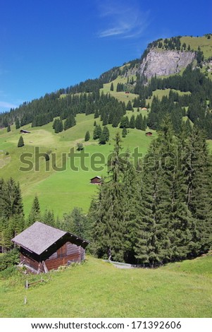 Swiss summer mountain landscape with wooden huts in evergreen trees