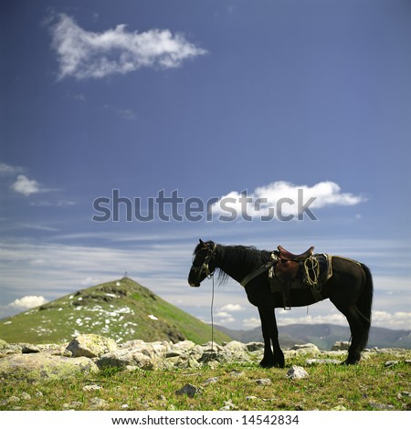 Standing horse and mountains