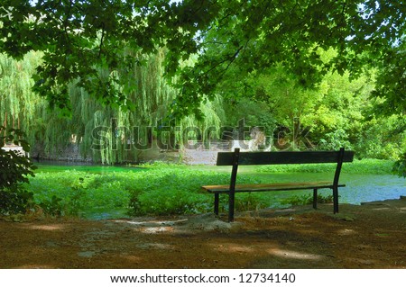 Old park bench by stream surrounded by greenery.