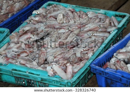 Fresh squids display in the basket fresh seafood in the market