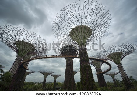 SINGAPORE - NOV 05 : A silhouette view of The Supertree Grove at Gardens by the Bay on Nov 05, 2012 in Singapore. Spanning 101 hectares, and five-minute walk from Bayfront MRT Station.