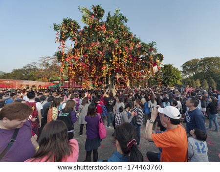 HONG KONG , CHINA - FEB. 02 : Lam Tsuen wishing tree on Feb. 02 , 2014 in Hong Kong. Tourists wrote wishes on joss paper, tied to an orange, then threw them up to hang in to make wish come true.