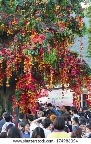 HONG KONG , CHINA - FEB. 02 : Lam Tsuen wishing tree on Feb. 02 , 2014 in Hong Kong. Tourists wrote wishes on joss paper, tied to an orange, then threw them up to hang in to make wish come true.
