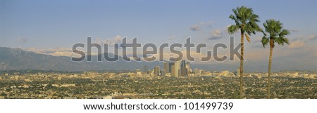 This is a clear view of downtown Los Angeles. It shows Mount Baldy and two Palm Trees from Baldwin Hills at sunset. There is snow on the mountains.