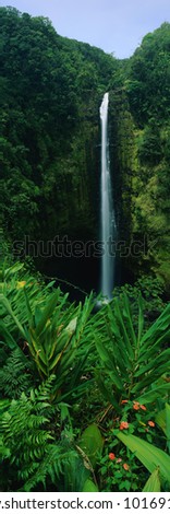This is Akaka Falls State Park. The falls are 442 feet long. It is located north of Hilo.