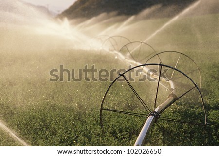 Sprinkler system with wheels watering crops