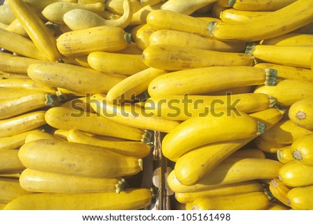 Yellow squash at a farmers market