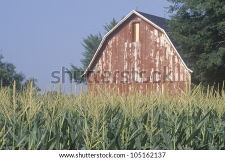 Midwestern farm with barn and corn field in South Bend, IN