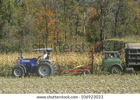 CIRCA 2005 - Farm machinery harvesting corn, New England