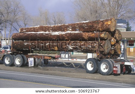 CIRCA 1998 - A logging truck driving down a highway