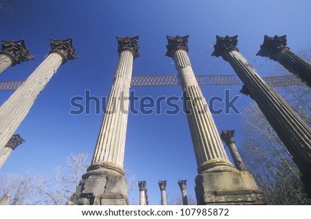 Windsor Ruins in the US state of Mississippi, Claiborne County, Mississippi