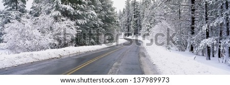 Road passing through a winter forest in California