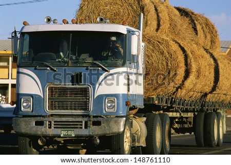 COLORADO - CIRCA 1990\'s: Semi truck with load of hay