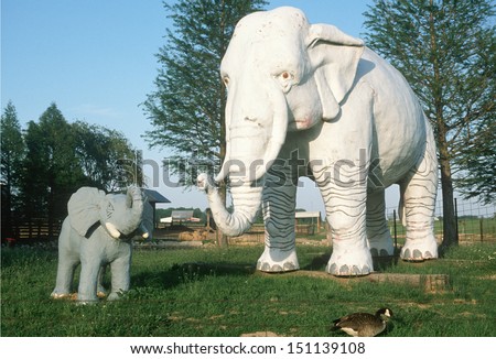 MIDWEST - CIRCA 1980\'s: Roadside attraction of gigantic white elephant with baby