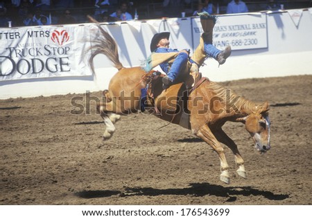 Bareback riding, Santa Barbara Old Spanish Days, Fiesta Rodeo, Stock Horse Show, Earl Warren Showgrounds, CA